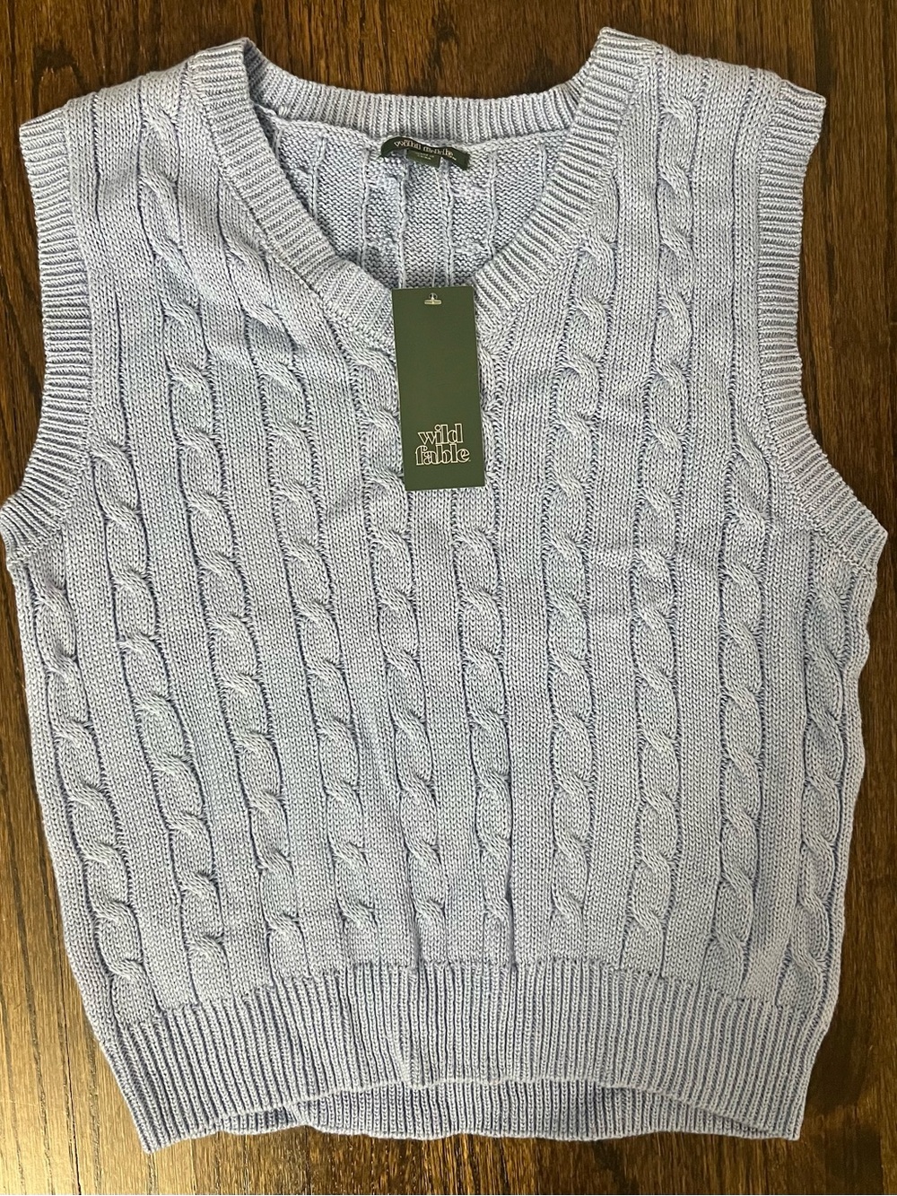 wild fable Light Blue Cable Knit V-Neck Sweater Vest